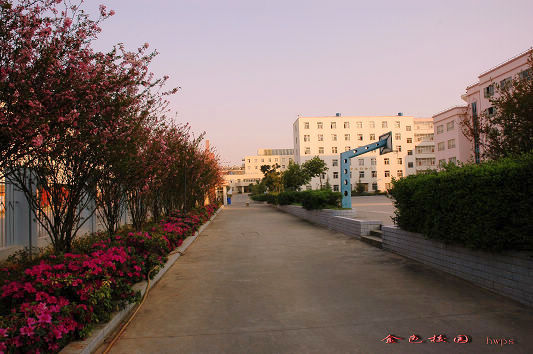云南國(guó)土資源職業(yè)學(xué)院_花開(kāi)滿園