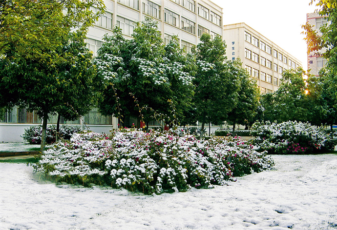 云南經濟管理學院_冰雪校園